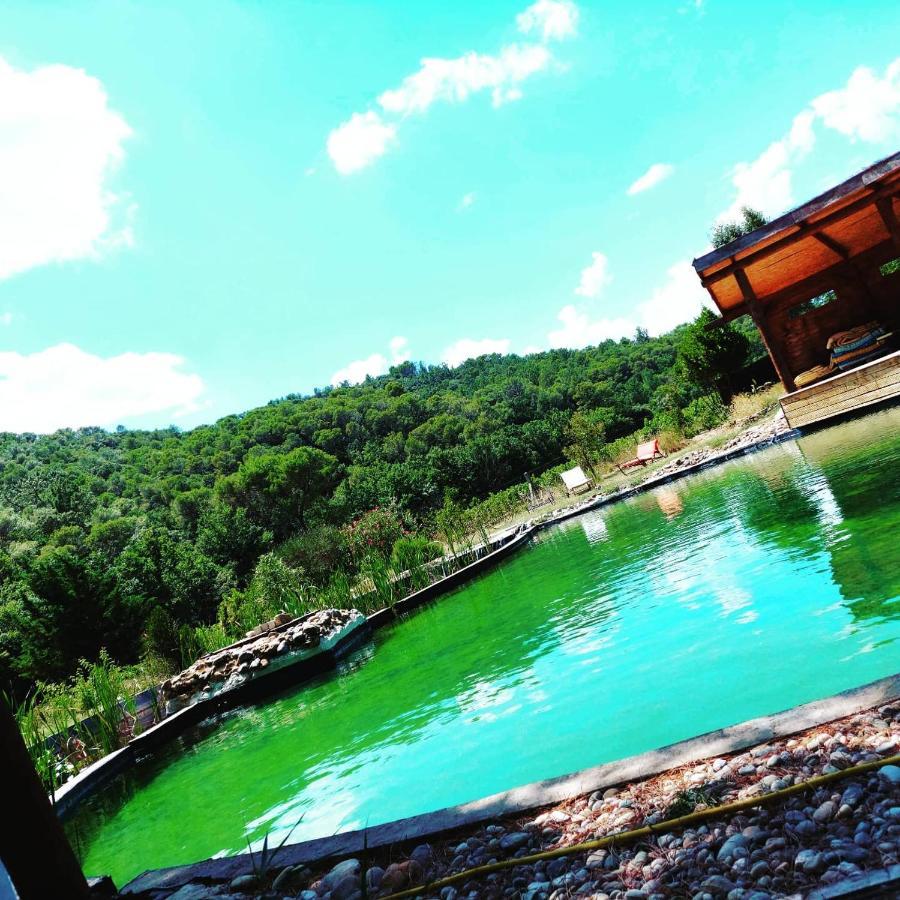 L'Etang Des Cigales Apartment Uchaux Luaran gambar